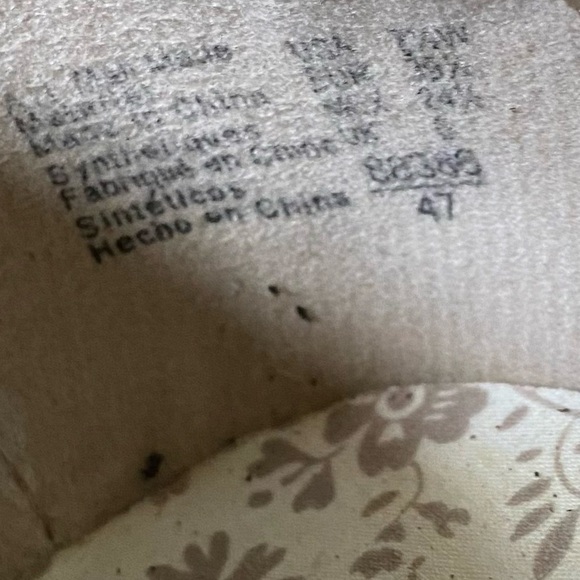 American Eagle flats. Chocolate brown w/ sassy toe box and nice little wedge. - Picture 7 of 9